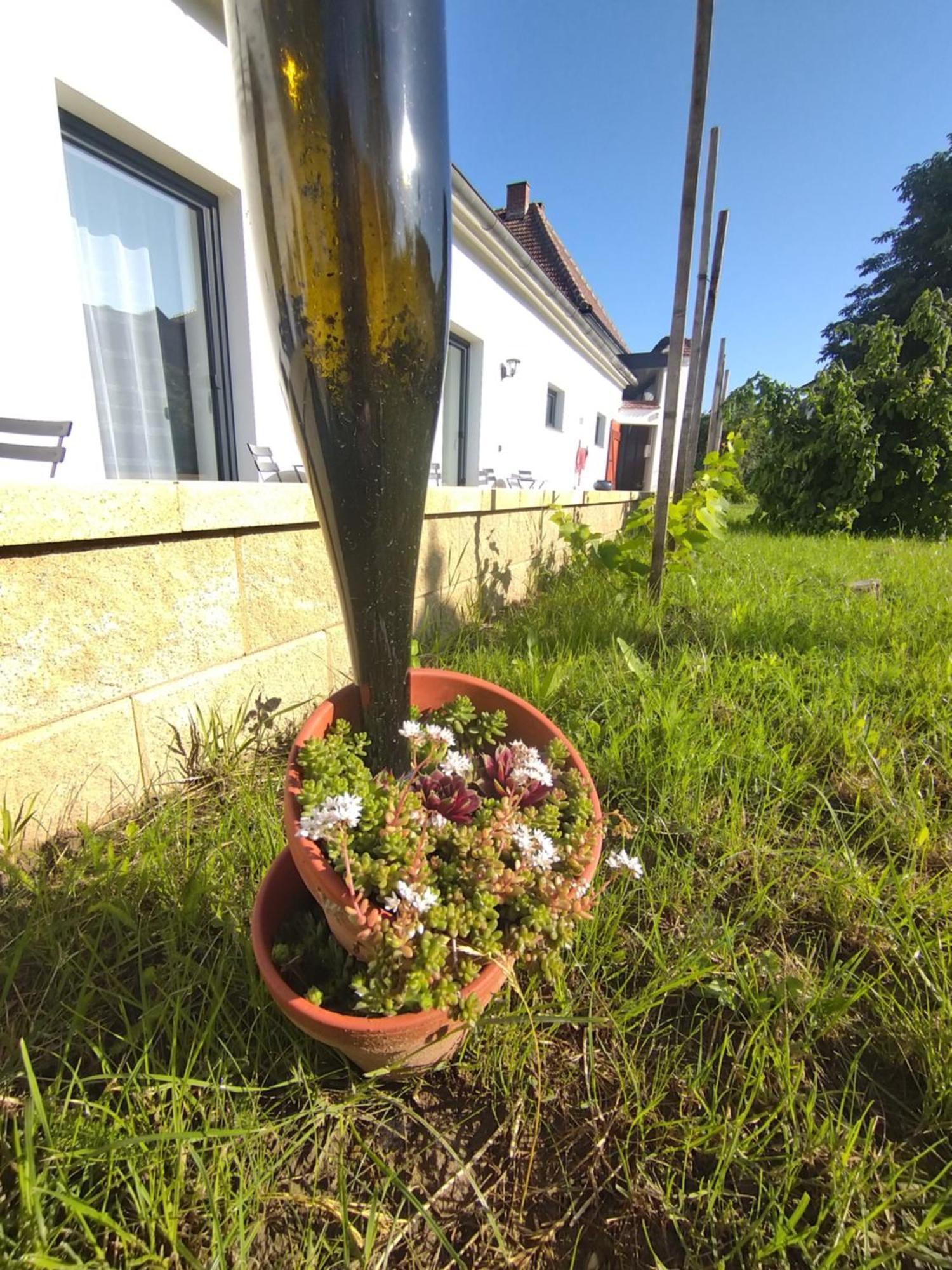 Weingut Thomas Brandl Bed and Breakfast Strass  Esterno foto